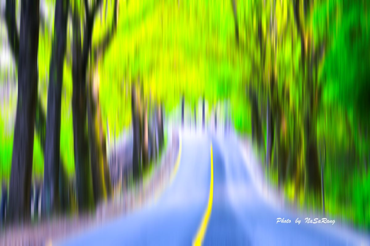 20250423190836f15dc9d10404a00babf42f6b8b917c164f699ee7.jpg